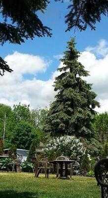 Annina's Bakeshop And Cafe