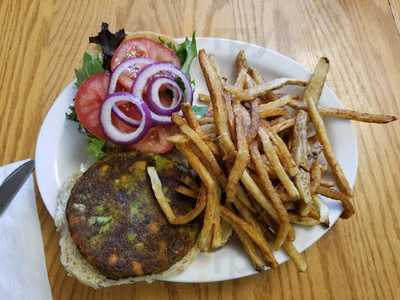 Chicory Common Natural Foods