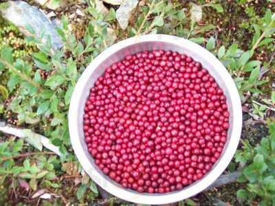 D & T Seafood & Restaurant