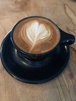 Darkstar Coffee Roasters