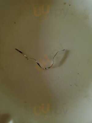 Dragon City Chinese Restaurant