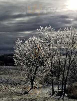 Villa Conti Oak Heights Estate Winery