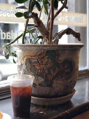 Espace Cafe & Espresso Bar