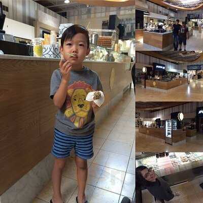 Il Gelato Di Carlotta Vaughan Mills