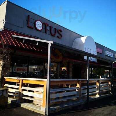 Lotus The Place For Pho Lovers