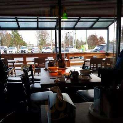 Lotus The Place For Pho Lovers