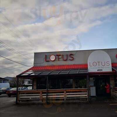 Lotus The Place For Pho Lovers