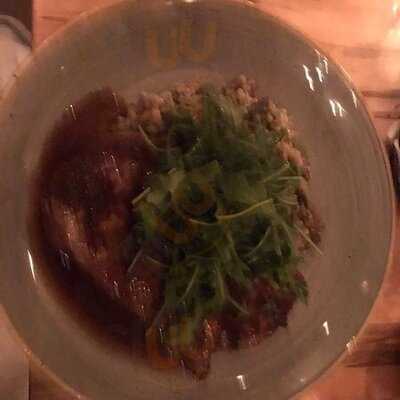 The Elm Tree Restaurant