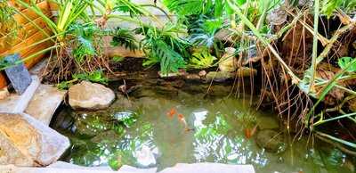 Fry's Corner Beestro