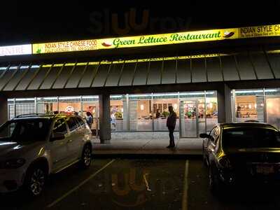Green Lettuce Indian Style Chinese Restaurant