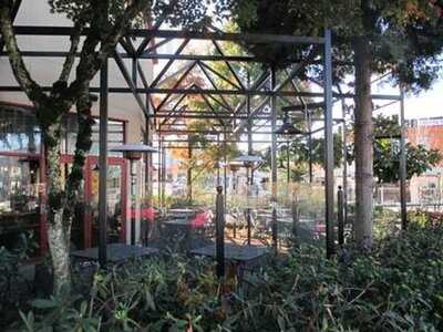 Red Robin Gourmet Burgers