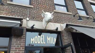 Model Milk