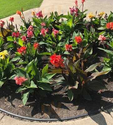 Confederation Lounge