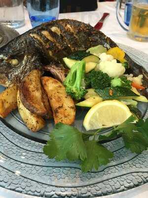 7 Seas Restaurant & Grill