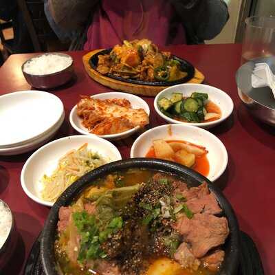 The Famous Owl Of Minerva