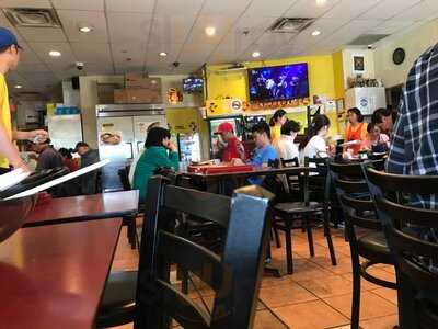 The Famous Owl Of Minerva