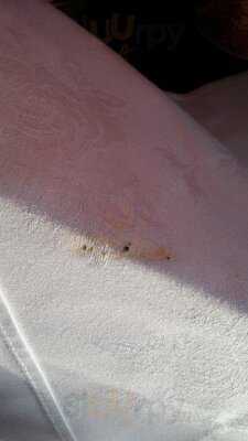 Aristotle's Steak & Seafood