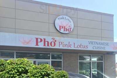 Pink Lotus Cafe