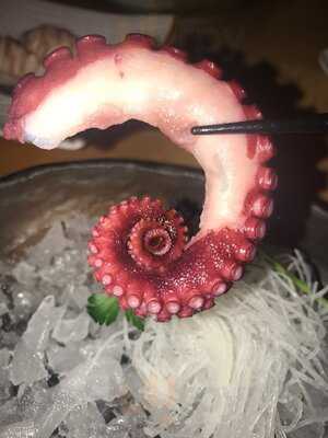 Sho Sushi Bar & Kitchen