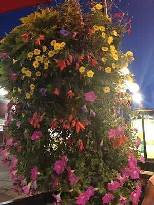 Heart & Crown Byward