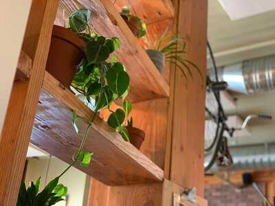 Under The High Wheel