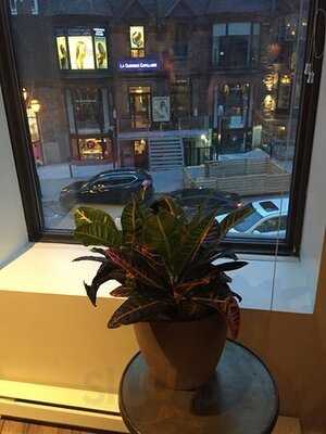 Insiders - Cafe & Cowork