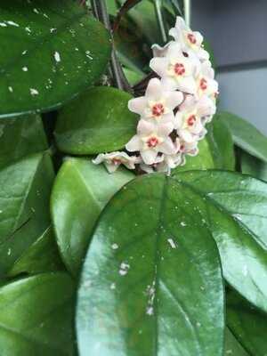 Kate's Town Talk Bakery