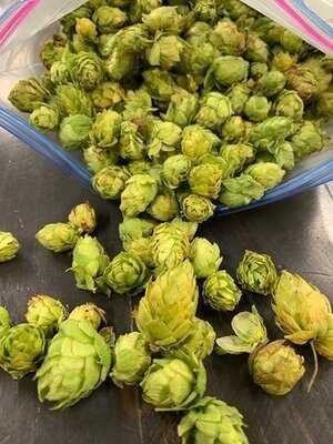 Paddy's Barbecue & Brewery