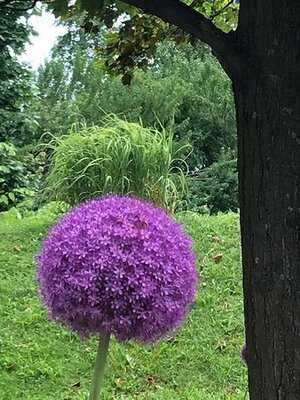 Le Manoir Montmorency