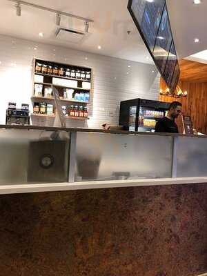 Copper Branch 10 Diswra