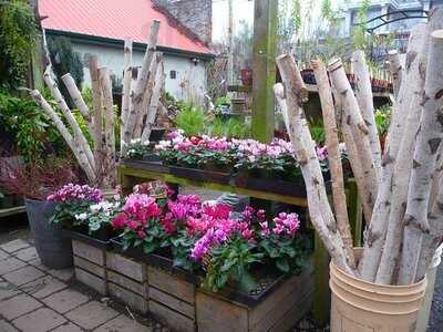 Rocanini Coffee Roasters