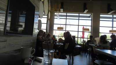 The Original Pancake House