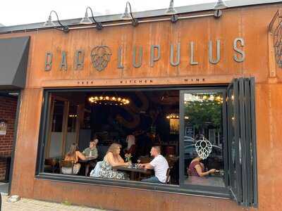 Bar Lupulus