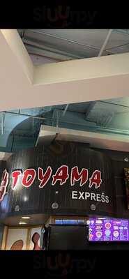 Toyama Express
