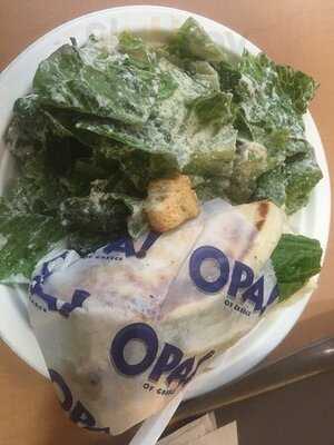 Opa! Souvlaki Of Greece