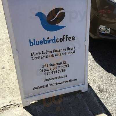 Blue Bird Coffee
