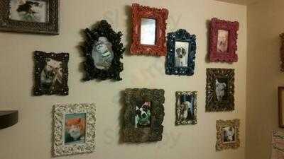 The Clever Rabbit Vegetarian Cafe