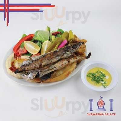Shawarma Palace