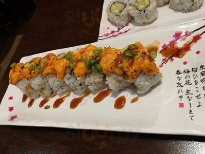 Haru Sushi And Grill