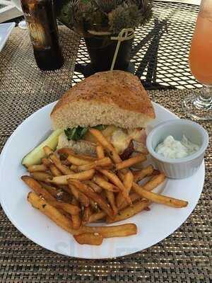 Grazers - Calgary Zoo