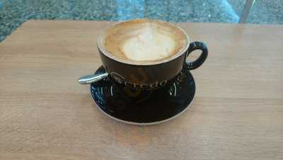 Mandolin Book And Coffee Co