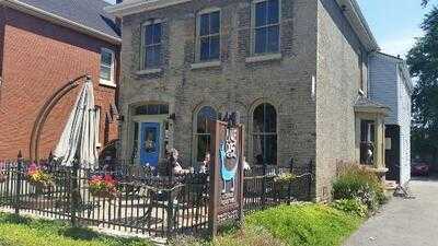 Blue Dog Coffee Roasters