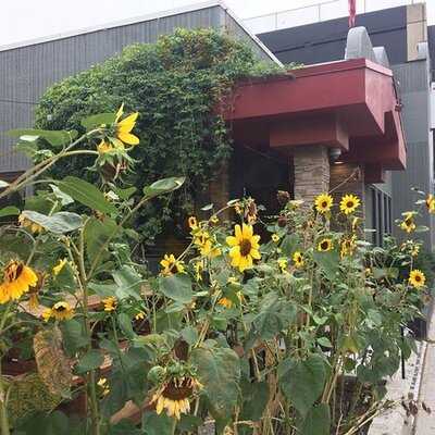 Red Collar Brewing Company