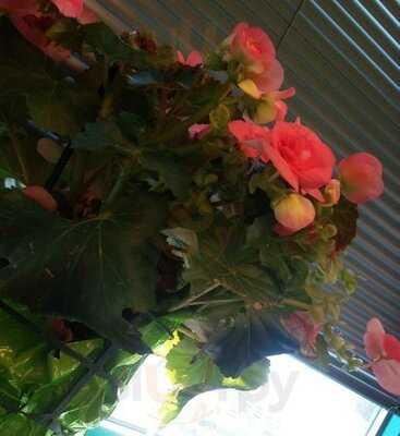 Arigato Sushi Valleyview