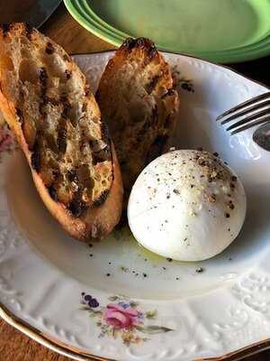 Little Grouse On The Prairie