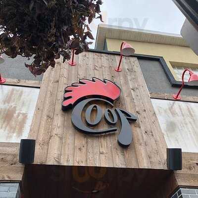 Coop Wicked Chicken Burlington