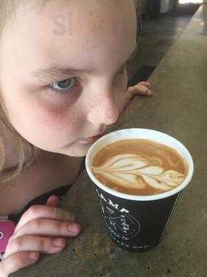 Tamp Coffee