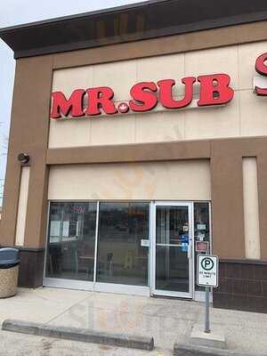 Mr. Sub