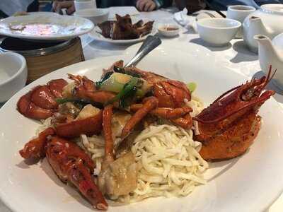 Fancy Chinese Cuisine