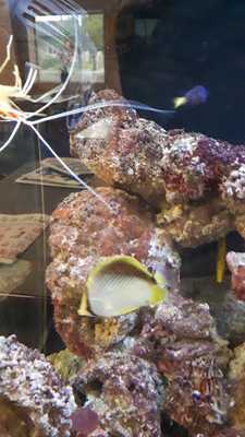 Oriental Express Restaurant